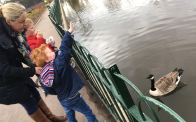 Feeding the Ducks