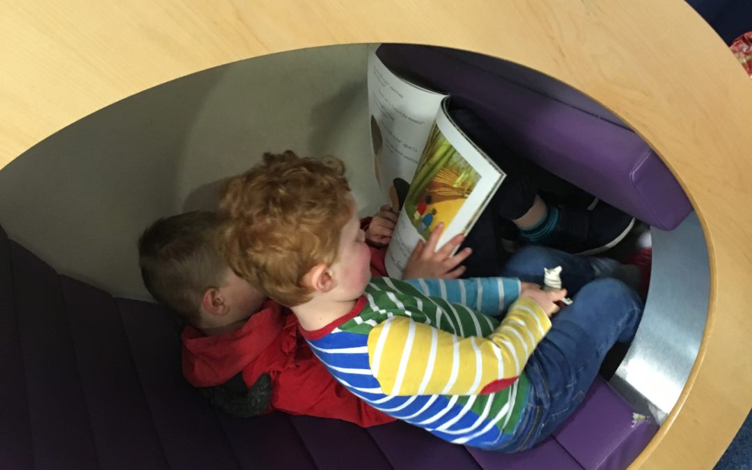 Reading in the Library