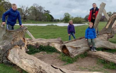 National Trust – Charlecote Park