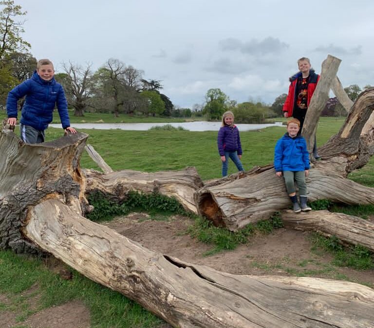 National Trust – Charlecote Park